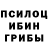 Галлюциногенные грибы мицелий joshua newbeck