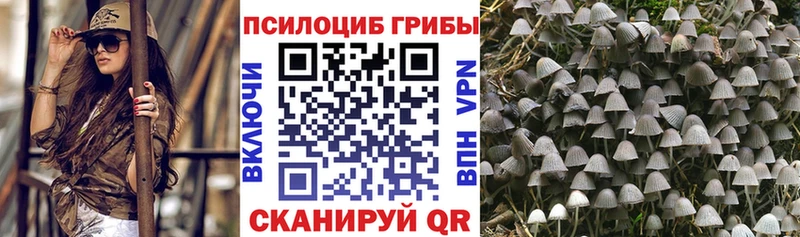 Галлюциногенные грибы Cubensis  Верхнеуральск 